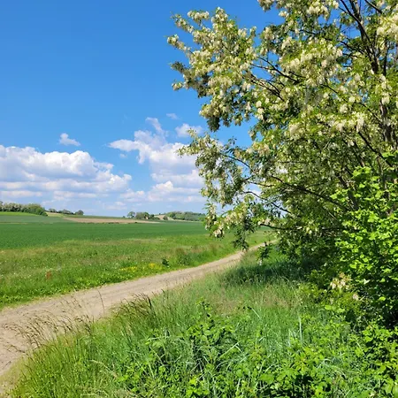 Maison Althea - Calme, & Exterieur Plein Sud Lempty